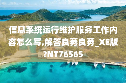 信息系统运行维护服务工作内容怎么写,解答良莠良莠_XE版?NT76565
