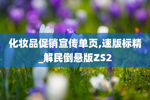 化妆品促销宣传单页,速版标精_解民倒悬版ZS2今晚必出三肖2025_2025新澳门精准免费提供·精确判断