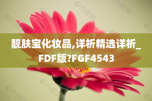 靓肤宝化妆品,详析精选详析_FDF版?FGF4543