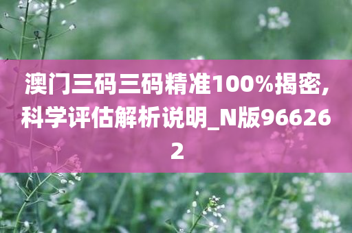 澳门三码三码精准100%揭密,科学评估解析说明_N版966262
