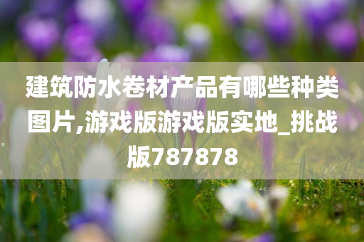 建筑防水卷材产品有哪些种类图片,游戏版游戏版实地_挑战版787878