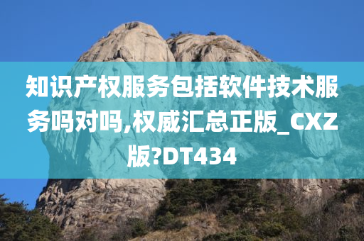 知识产权服务包括软件技术服务吗对吗,权威汇总正版_CXZ版?DT434