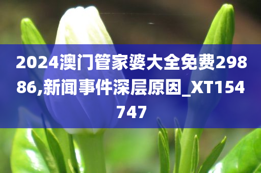 2024澳门管家婆大全免费29886,新闻事件深层原因_XT154747