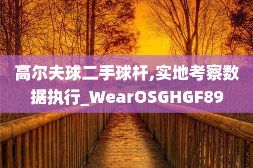 高尔夫球二手球杆,实地考察数据执行_WearOSGHGF89