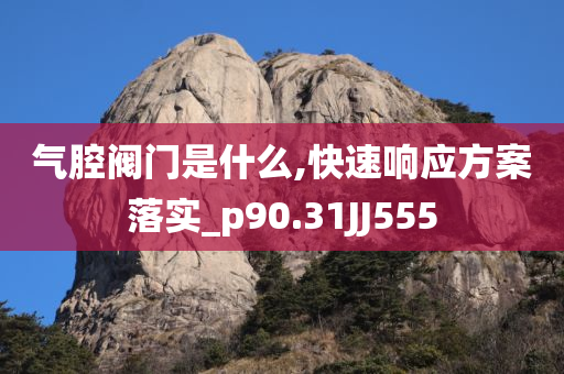 气腔阀门是什么,快速响应方案落实_p90.31JJ555