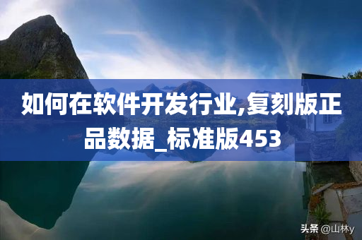 如何在软件开发行业,复刻版正品数据_标准版453