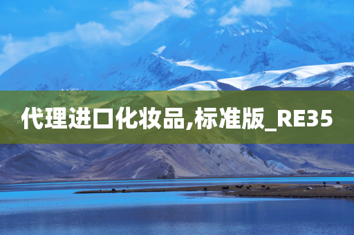 代理进口化妆品,标准版_RE35