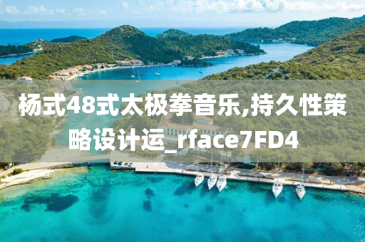 杨式48式太极拳音乐,持久性策略设计运_rface7FD4