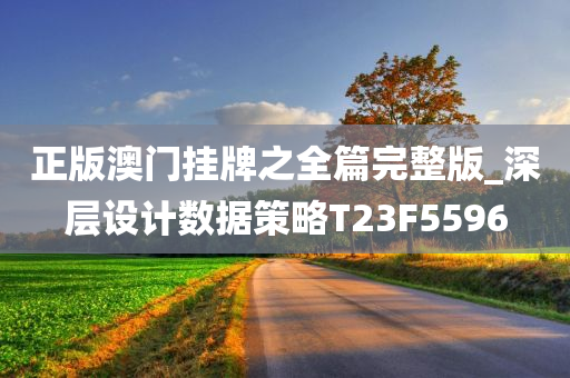 正版澳门挂牌之全篇完整版_深层设计数据策略T23F5596