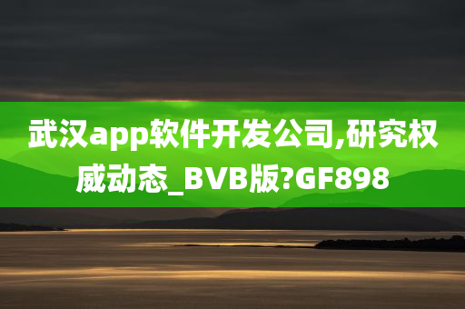 武汉app软件开发公司,研究权威动态_BVB版?GF898