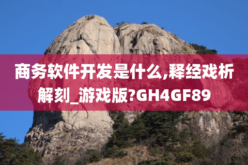 商务软件开发是什么,释经戏析解刻_游戏版?GH4GF89