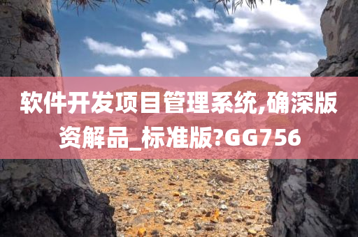 软件开发项目管理系统,确深版资解品_标准版?GG756