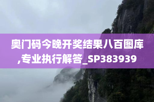 奥门码今晚开奖结果八百图库,专业执行解答_SP383939