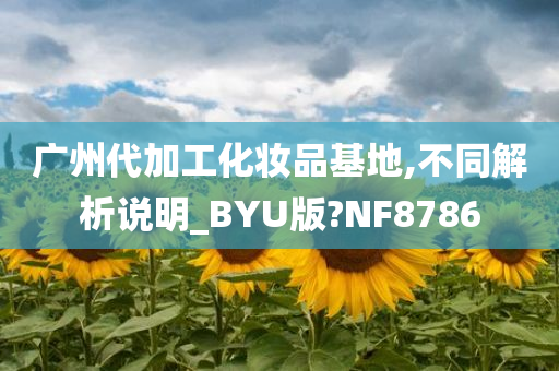 广州代加工化妆品基地,不同解析说明_BYU版?NF8786