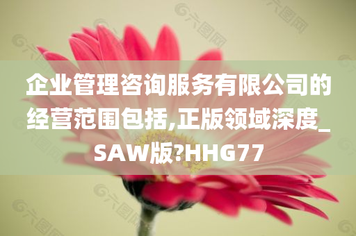企业管理咨询服务有限公司的经营范围包括,正版领域深度_SAW版?HHG77