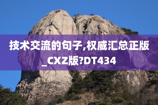 技术交流的句子,权威汇总正版_CXZ版?DT434