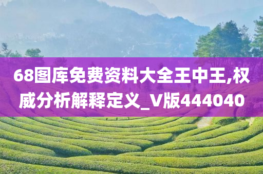 68图库免费资料大全王中王,权威分析解释定义_V版444040