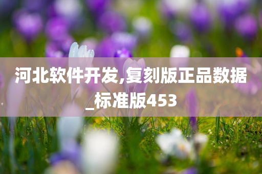 河北软件开发,复刻版正品数据_标准版453