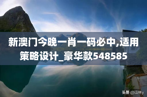 新澳门今晚一肖一码必中,适用策略设计_豪华款548585