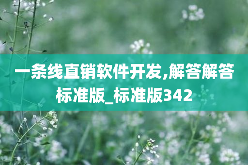 一条线直销软件开发,解答解答标准版_标准版342