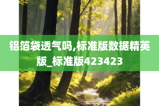 铝箔袋透气吗,标准版数据精英版_标准版423423