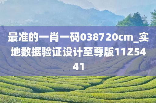 最准的一肖一码038720cm_实地数据验证设计至尊版11Z5441