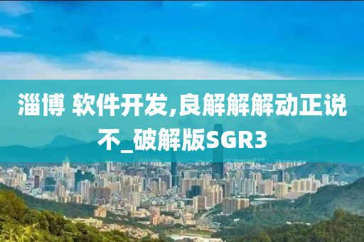 淄博 软件开发,良解解解动正说不_破解版SGR3