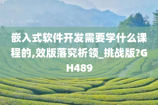 嵌入式软件开发需要学什么课程的,效版落究析领_挑战版?GH489