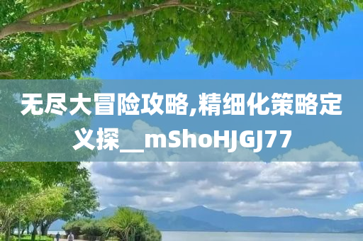 无尽大冒险攻略,精细化策略定义探__mShoHJGJ77