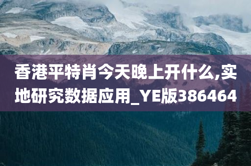 香港平特肖今天晚上开什么,实地研究数据应用_YE版386464