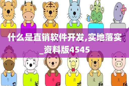 什么是直销软件开发,实地落实_资料版4545