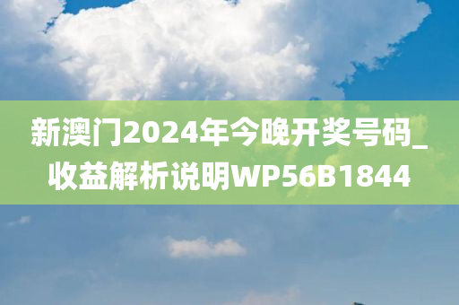 新澳门2024年今晚开奖号码_收益解析说明WP56B1844