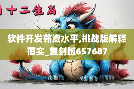 软件开发薪资水平,挑战版解释落实_复刻版657687