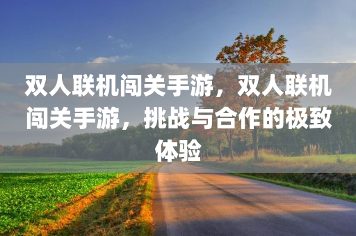 双人联机闯关手游，双人联机闯关手游，挑战与合作的极致体验
