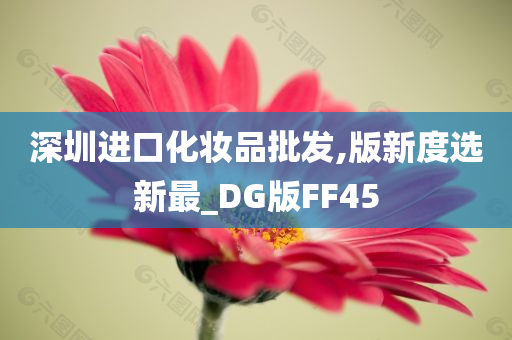 深圳进口化妆品批发,版新度选新最_DG版FF45
