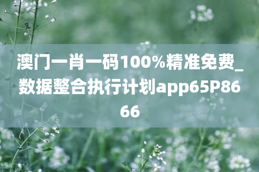 澳门一肖一码100%精准免费_数据整合执行计划app65P8666