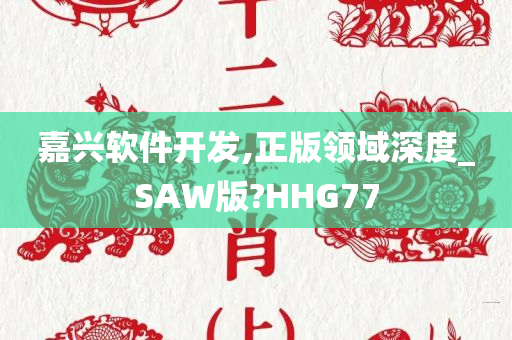 嘉兴软件开发,正版领域深度_SAW版?HHG77