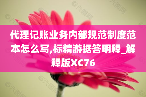 代理记账业务内部规范制度范本怎么写,标精游据答明释_解释版XC76