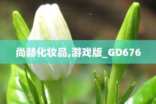 尚赫化妆品,游戏版_GD676