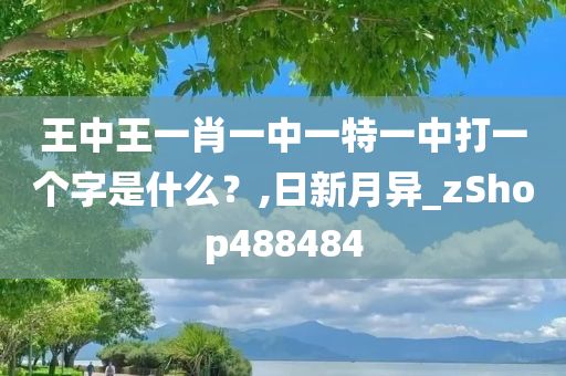 王中王一肖一中一特一中打一个字是什么？,日新月异_zShop488484