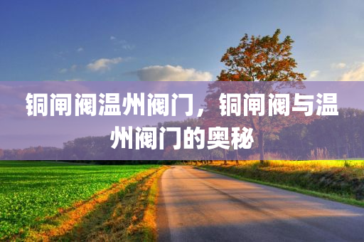 铜闸阀温州阀门，铜闸阀与温州阀门的奥秘