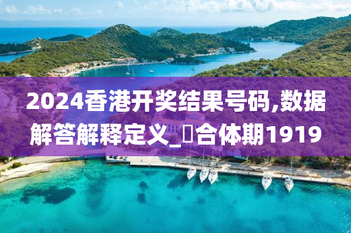 2024香港开奖结果号码,数据解答解释定义_?合体期1919