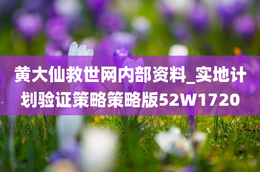 黄大仙救世网内部资料_实地计划验证策略策略版52W1720