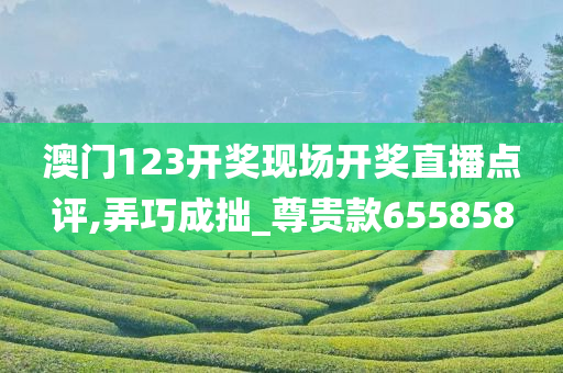 澳门123开奖现场开奖直播点评,弄巧成拙_尊贵款655858