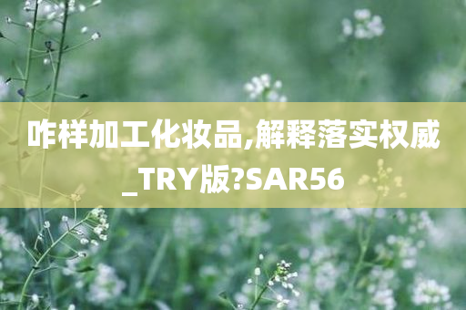 咋样加工化妆品,解释落实权威_TRY版?SAR56