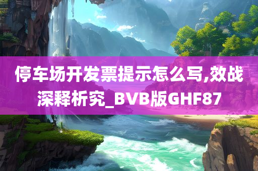 停车场开发票提示怎么写,效战深释析究_BVB版GHF87