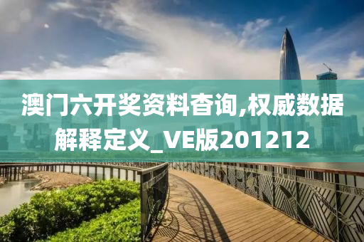 澳门六开奖资料杳询,权威数据解释定义_VE版201212