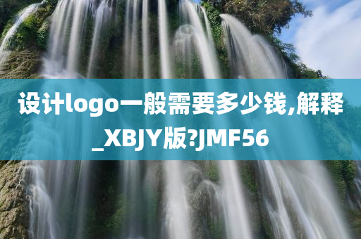 设计logo一般需要多少钱,解释_XBJY版?JMF56