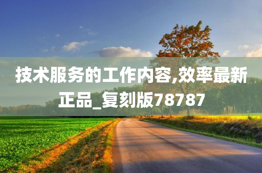 技术服务的工作内容,效率最新正品_复刻版78787