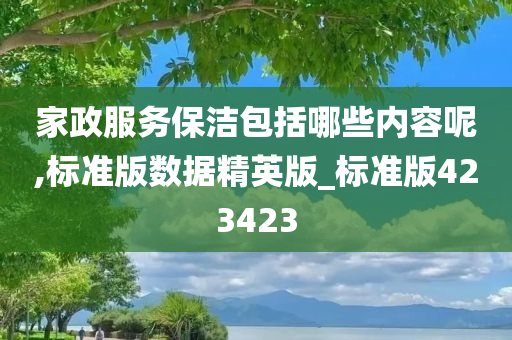家政服务保洁包括哪些内容呢,标准版数据精英版_标准版423423